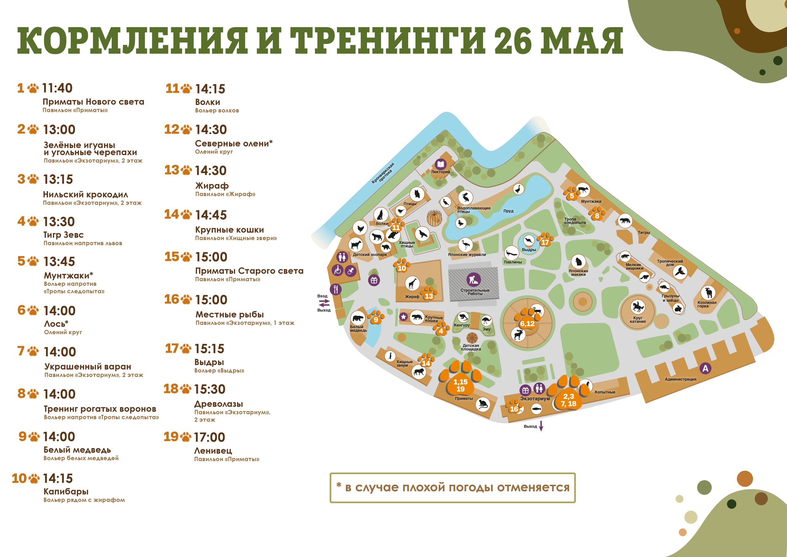 Расписание кормлений в Ленинградском зоопарке 26 мая 2024 года