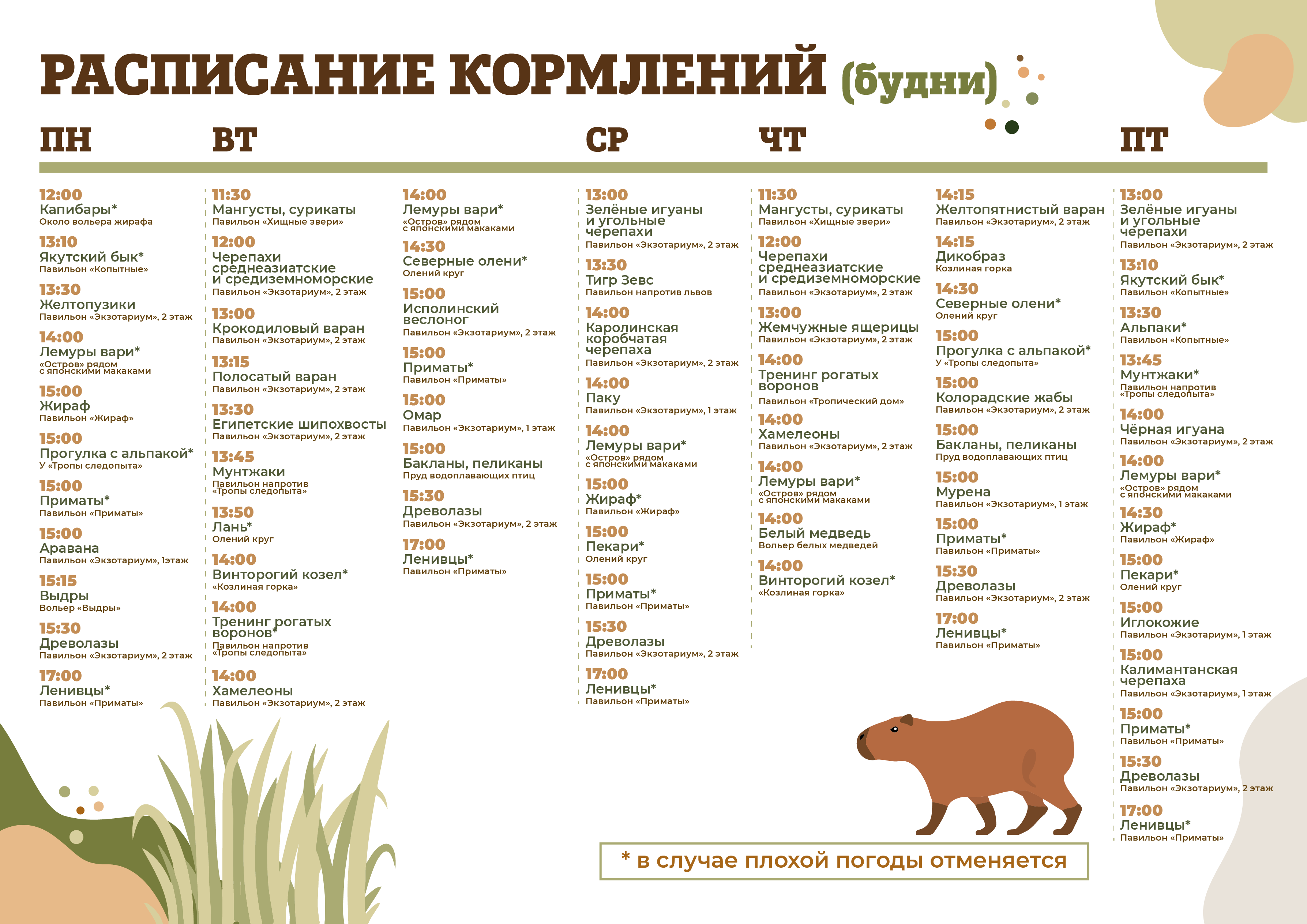 Расписание кормлений